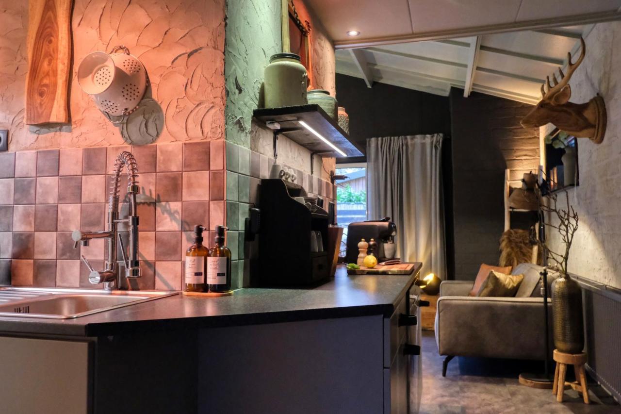 Lodge In Een Bosrijke Omgeving Met Hottub & Sauna Opt Rheezerveen Eksteriør bilde